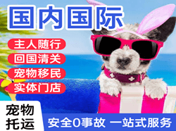 两江机场托运国际宠物托运 【国